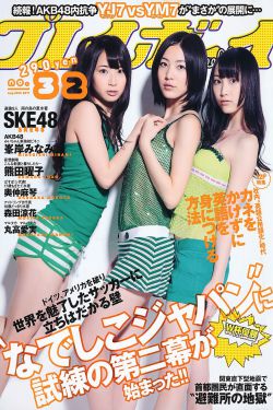 葉羅麗第9季免費(fèi)播放