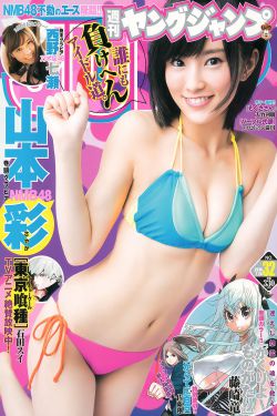 葉辰上門龍婿免費(fèi)全文閱讀完整版